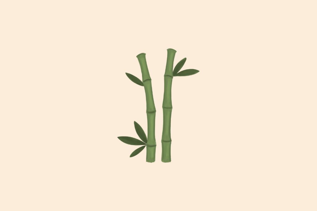 bamboo plant