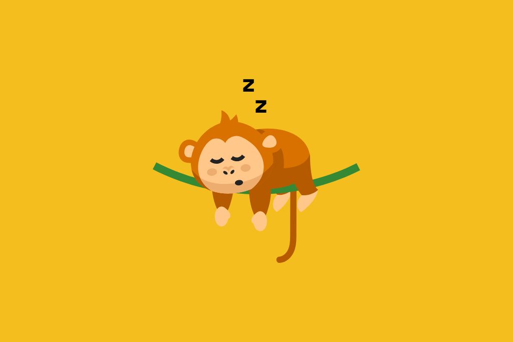 a sleeping monkey