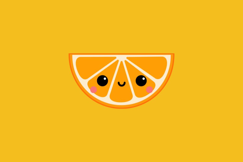 slice of an orange