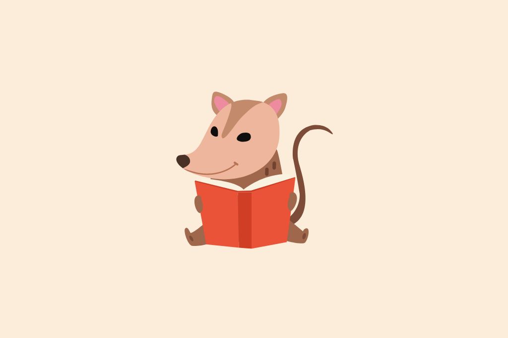 Possum reading a book