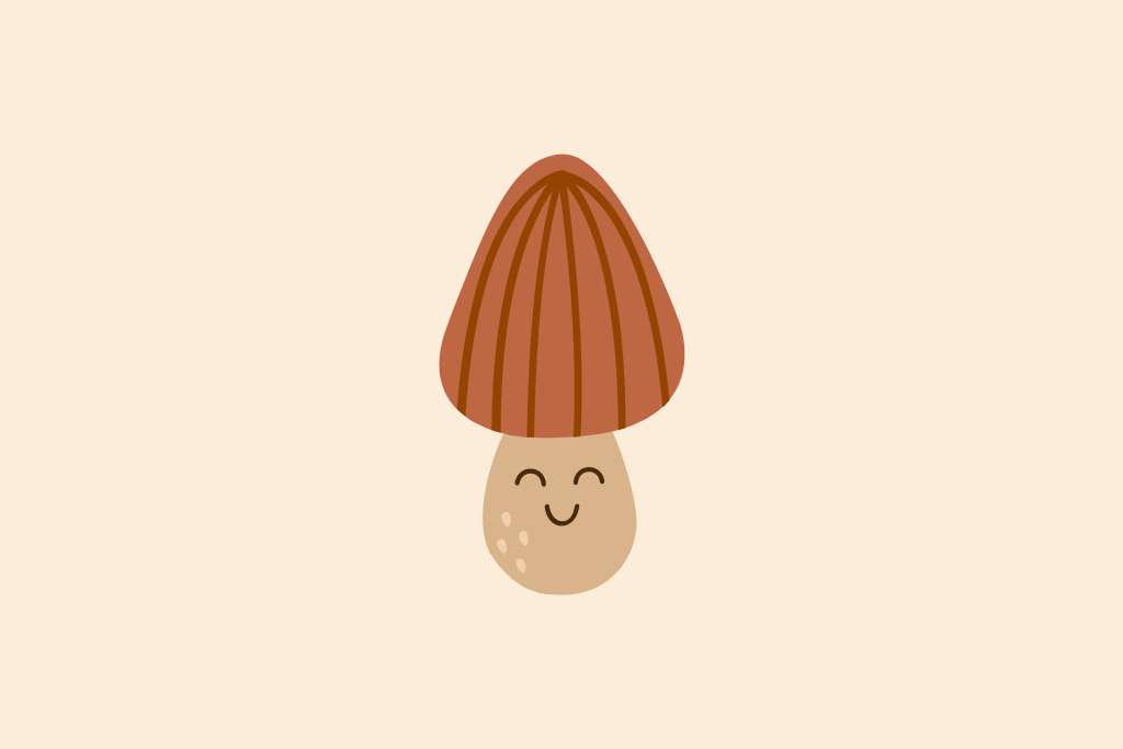 Best Mushroom Jokes