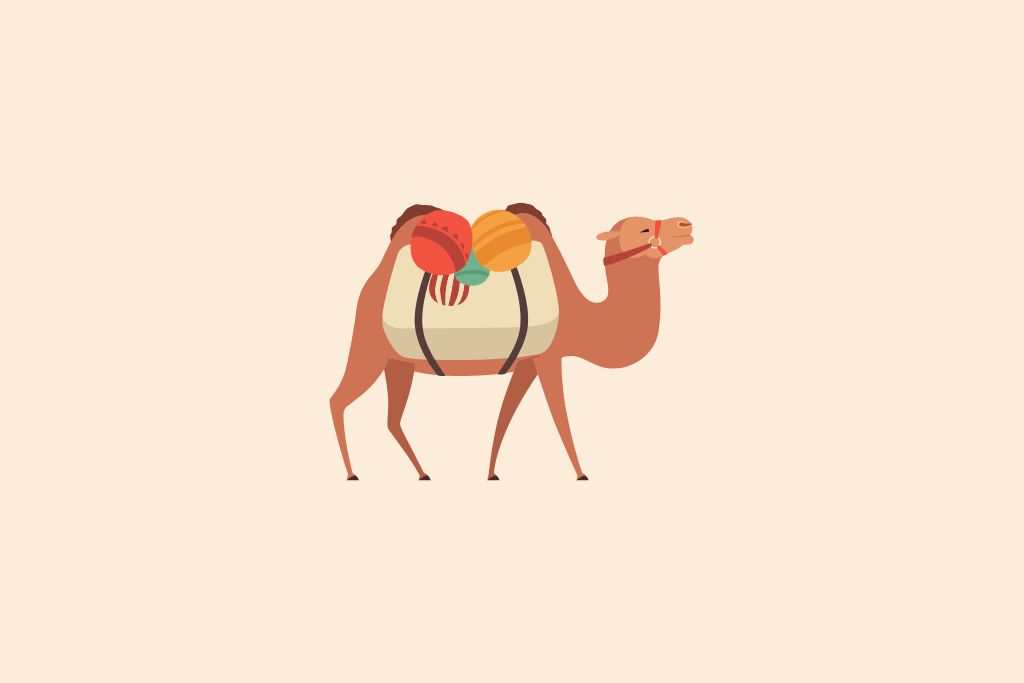 Camel walking towards his destination