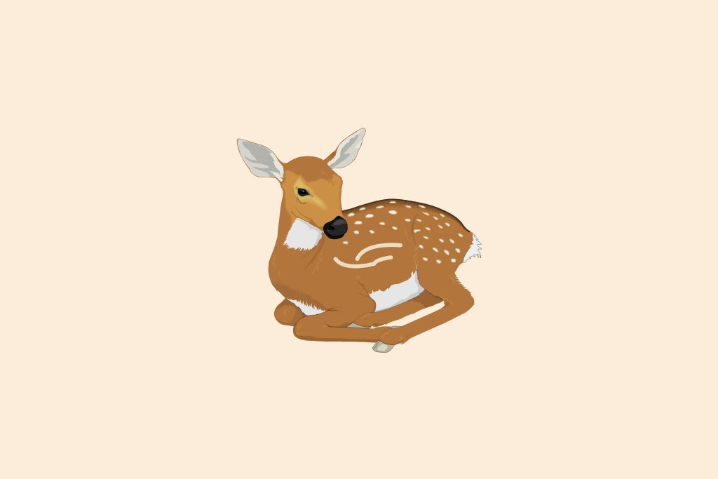 a deer is sitting relax