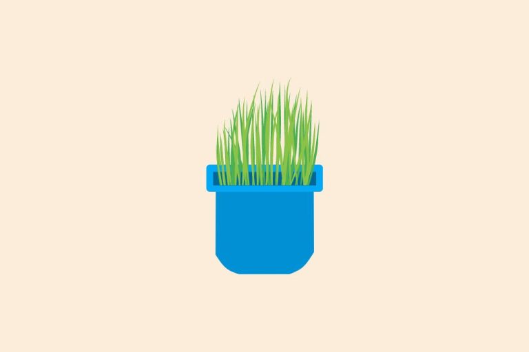 Hilarious Grass Puns & Jokes: 40 Lawn Laughs to Brighten Your Day