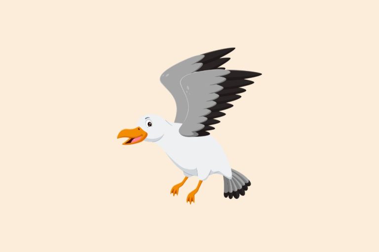 30 Funny Seagull Jokes