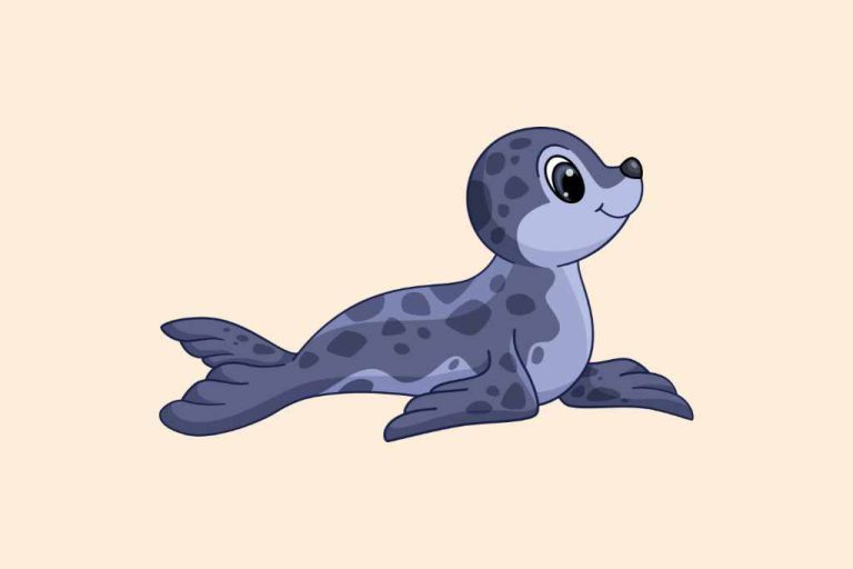 50 Funny Seal Puns