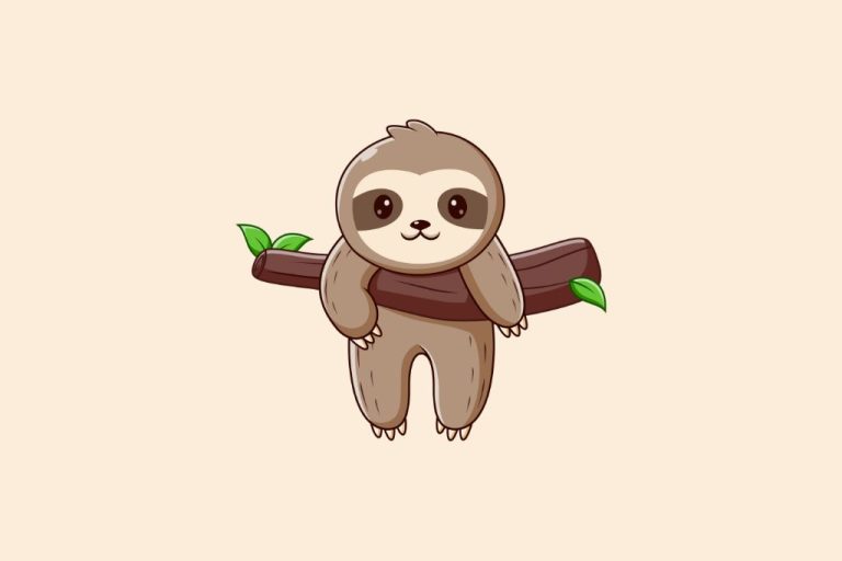 60 Funny Sloth Jokes