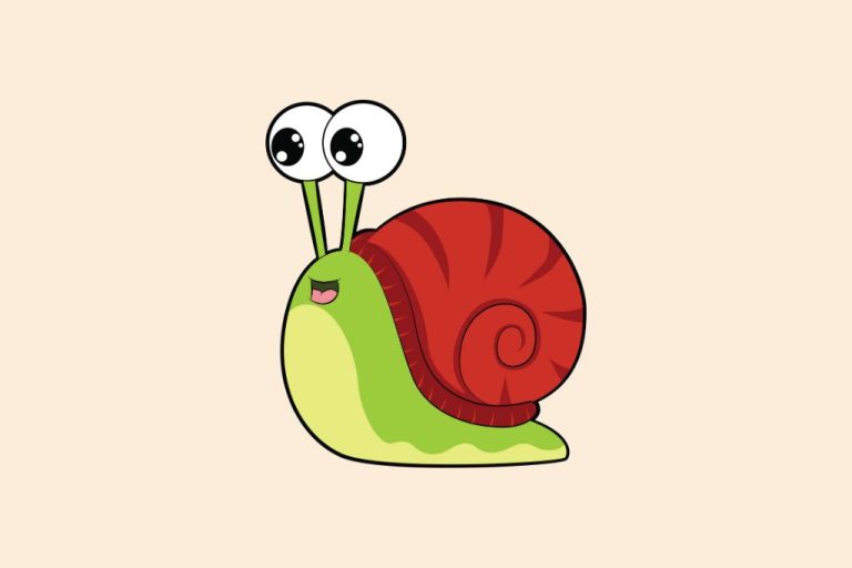 60 Funny Snail Jokes