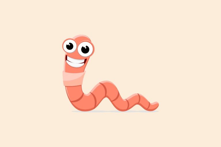 70 Jokes About Worms