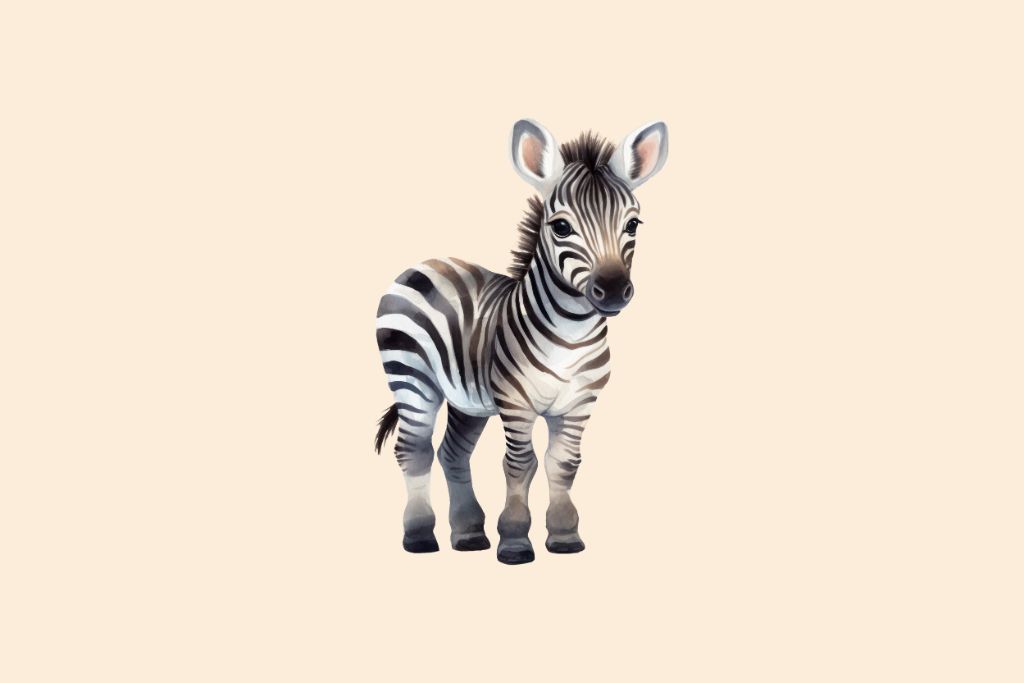 Zebra One Liners