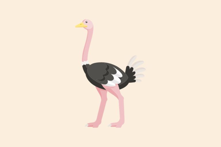 Ostrich Jokes: 45 Hilarious Puns & One-Liners That’ll Have You Laughing