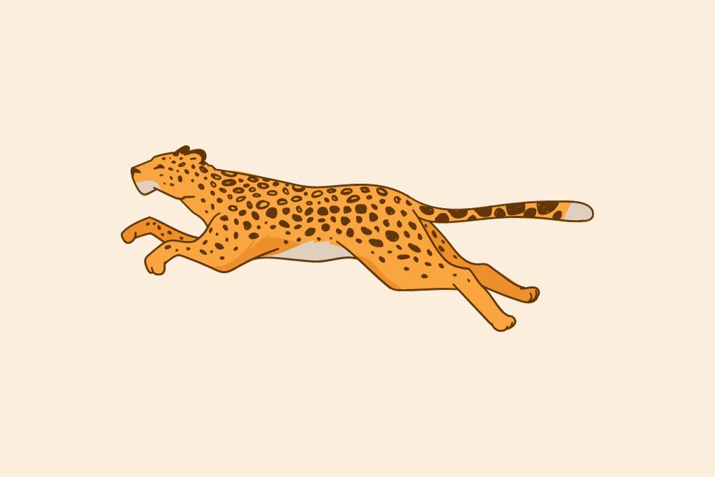 Cheetah One Liners